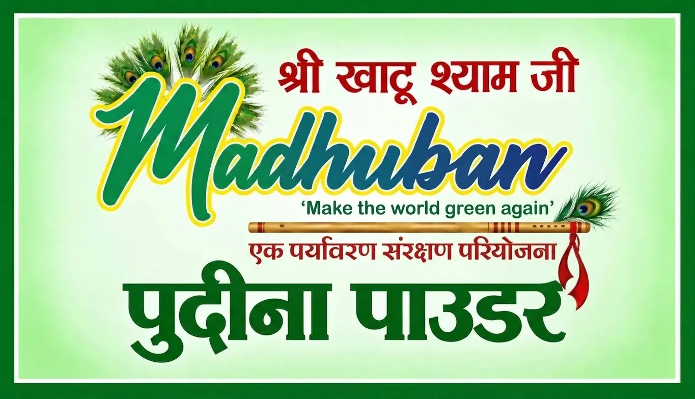 पुदीना पाउडर